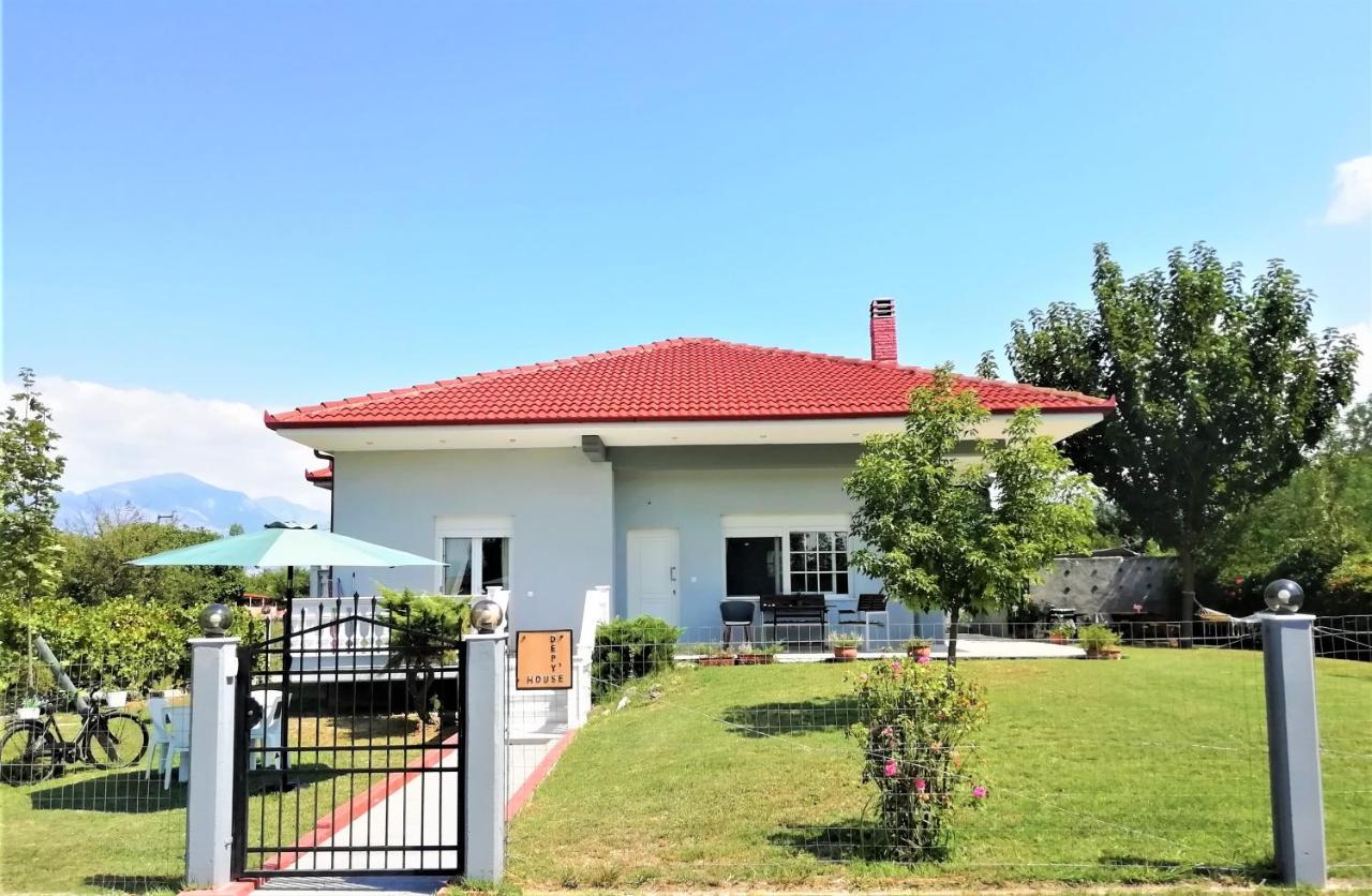 Deppy'S House Κοντά Στα Λουτρά Πόζαρ Apartment Chrysi Exterior photo